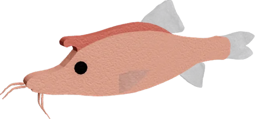 Sinocyclocheilus