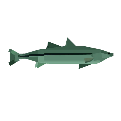 Snook
