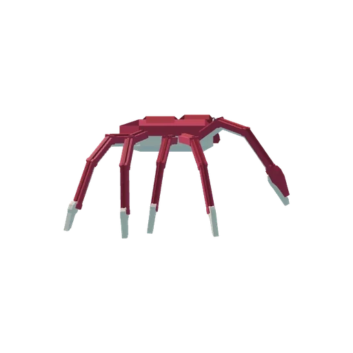 Spider Crab