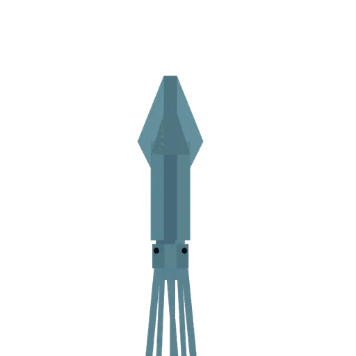 Squid