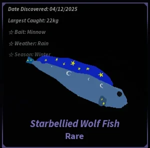 Starbellied Wolf Fish