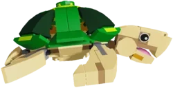 Stud Turtle