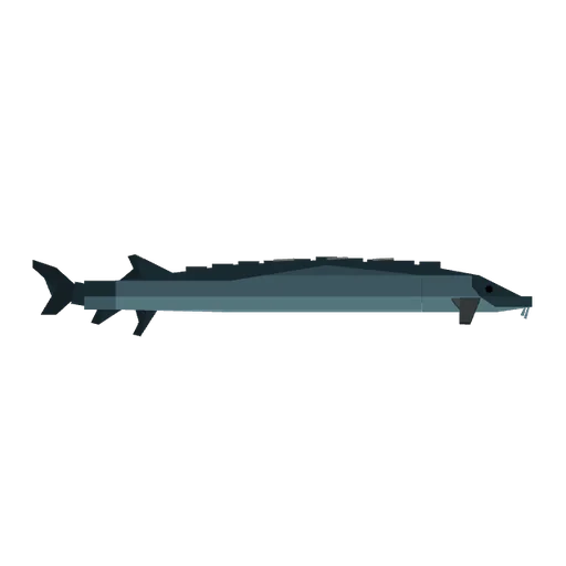 Sturgeon