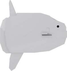 Sunfish