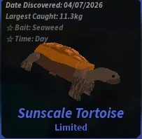 Sunscale Tortoise