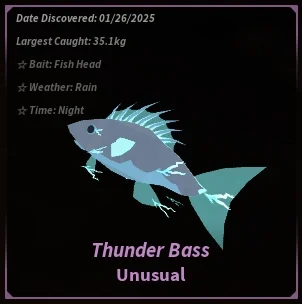 Thunder Bass