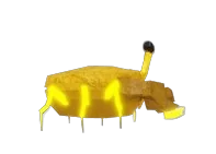 Thunderclap Crab