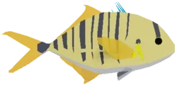Trevally