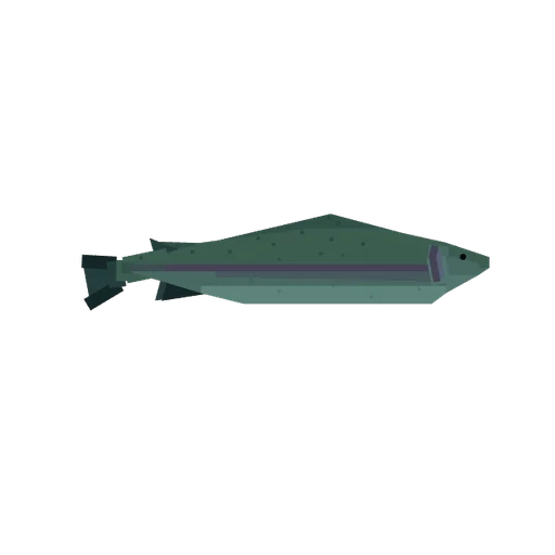 Trout