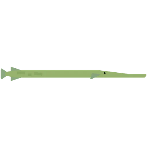 Trumpetfish