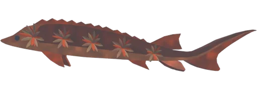 Umbraleaf Sturgeon