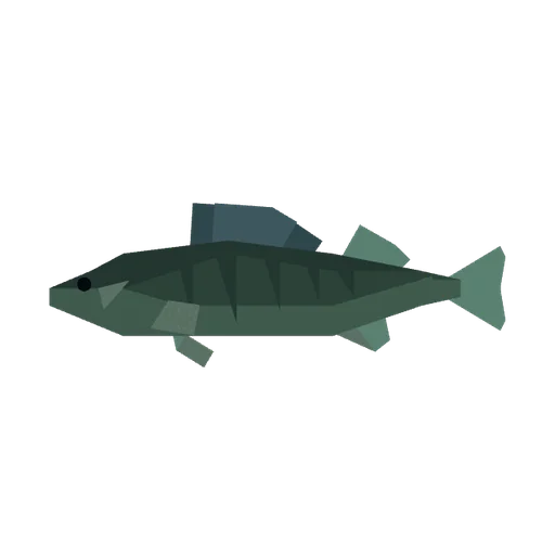 Walleye