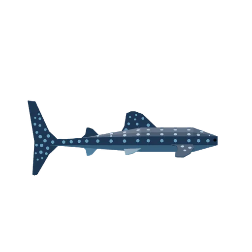 Whale Shark