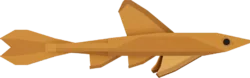 Whiptail Catfish