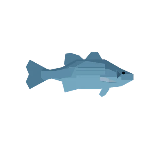 White Bass