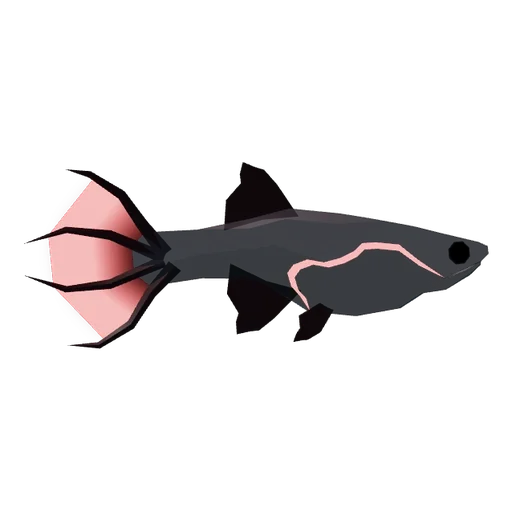 Wretched Guppy