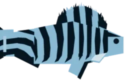 Zebrafishlet
