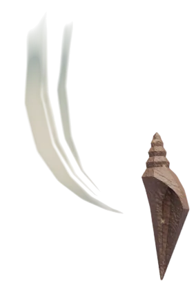 Conception Conch